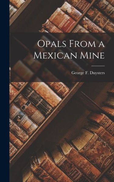 Opals From A Mexican Mine