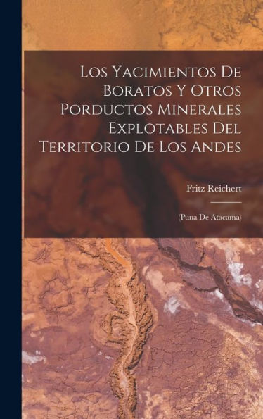 Los Yacimientos De Boratos Y Otros Porductos Minerales Explotables Del Territorio De Los Andes: (Puna De Atacama) (Spanish Edition)