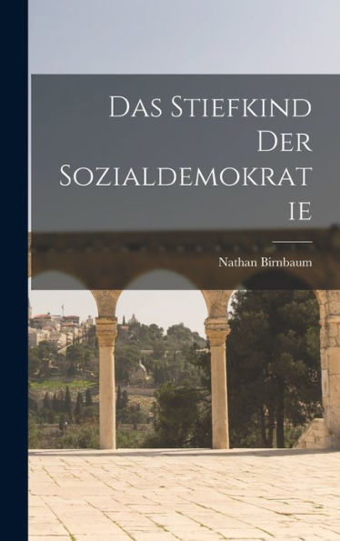 Das Stiefkind Der Sozialdemokratie (German Edition)
