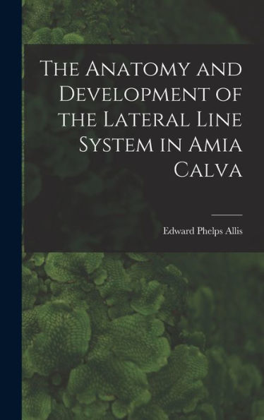 The Anatomy And Development Of The Lateral Line System In Amia Calva