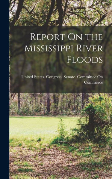 Report On The Mississippi River Floods
