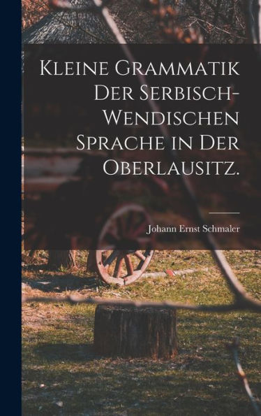 Kleine Grammatik Der Serbisch-Wendischen Sprache In Der Oberlausitz. (German Edition)
