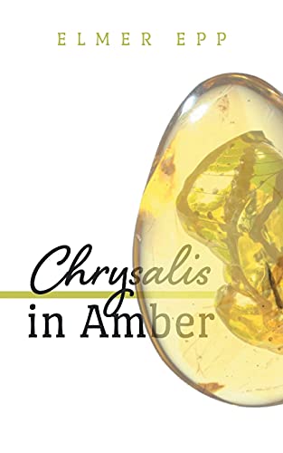 Chrysalis In Amber - 9781039104532