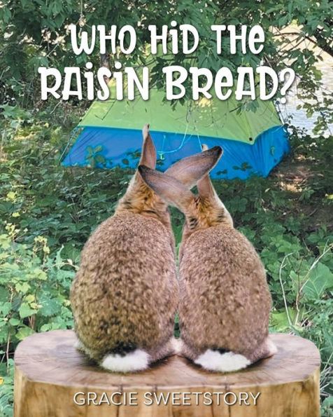 Who Hid The Raisin Bread? - 9781039153004