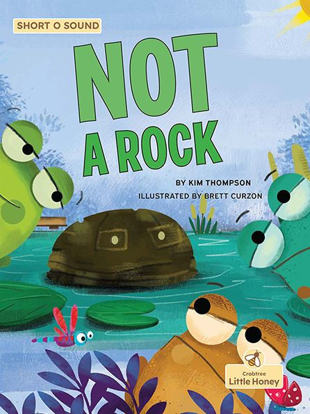 Not A Rock (My Decodable Readers)