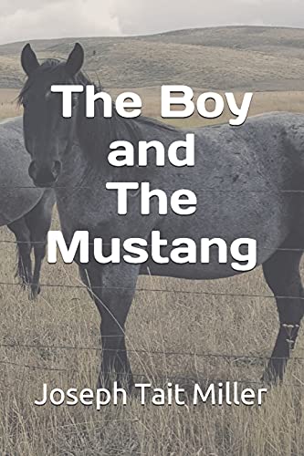 The Boy And The Mustang