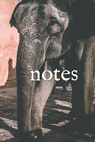 Notes - 9781070408484