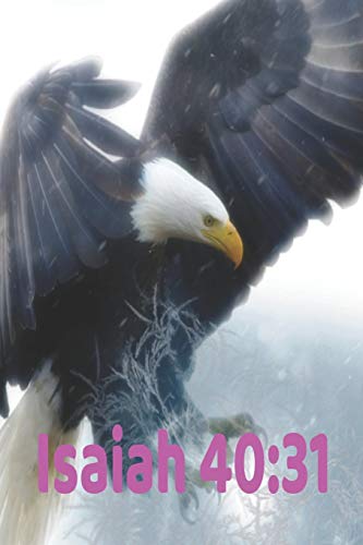 Isaiah 40:31: Wings As Eagles