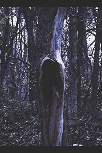 Sacrum Umbra: The Gothic Horror Of Amanda M. Lyons