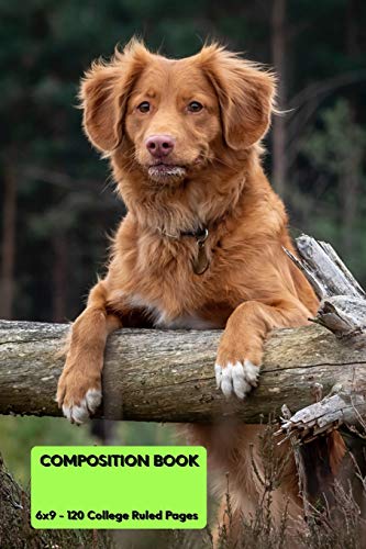 Composition Book - 9781072603238