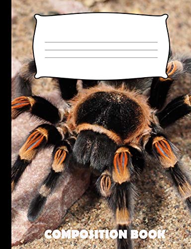 Composition Book: Tarantula Composition Notebook Wide Ruled
