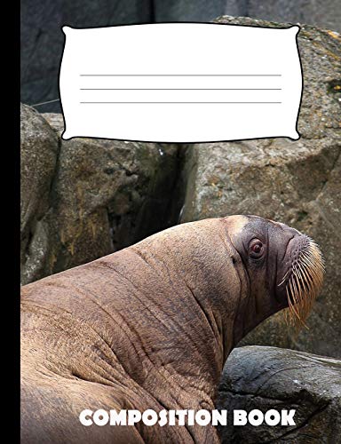 Composition Book: Walrus Composition Notebook Wide Ruled