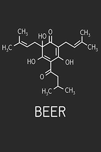 I Love Beer: Notebook Fur Brewers And Beer Lovers - 9781073323340