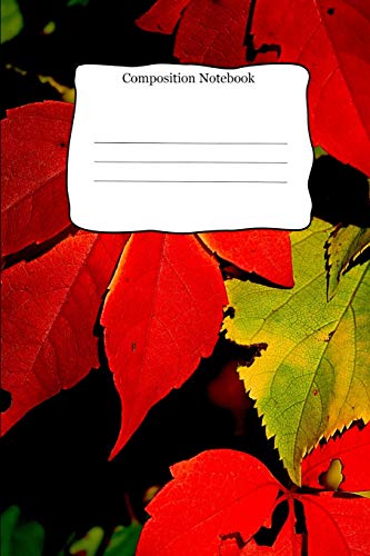 Composition Notebook: Red And Green Leaf Theme Cover For School Kids That Love Writing Creative Songs