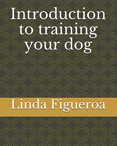 Introduction To Training Your Dog