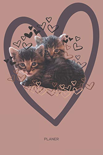 Planer: Katzen Kalender Terminkalender Terminplaner Wochenkalender | Geschenk F?rbabykatzen Fans Katzenliebhaber Katzenbesitzer Frauen Zum Geburtstag ... Und Punktraster Extra Seiten (German Edition) - 9781074807023