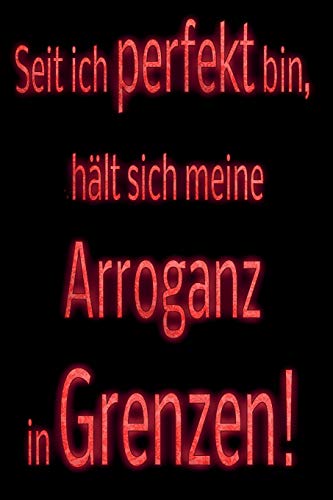 Seit Ich Perfekt Bin, H?lt Sich Meine Arroganz In Grenzen!: Kariertes Notizbuch Mit 120 Seiten | 6X9 Zoll | Malbuch, Malheft, Tagebuch, Notizbuch, Schulheft Uvm. | Lustig (German Edition)
