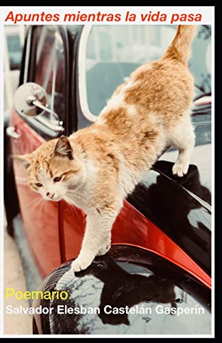 Apuntes Mientras La Vida Pasa: Poes?a (Spanish Edition)