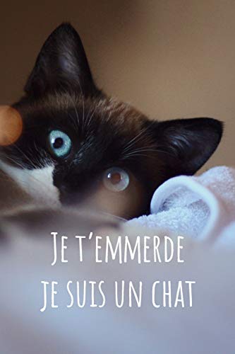 Je T'Emmerde Je Suis Un Chat: Carnet Pointill? (Bullet) A5 - Pour Prendre Des Notes, Lettrage, Calligraphie, Dessiner, Bujo (French Edition)