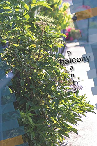 Balcony Plants