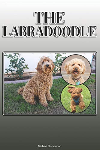 The Labradoodle: A Complete And Comprehensive Owners Guide To: Buying, Owning, Health, Grooming, Training, Obedience, Understanding And Caring For Your Labradoodle