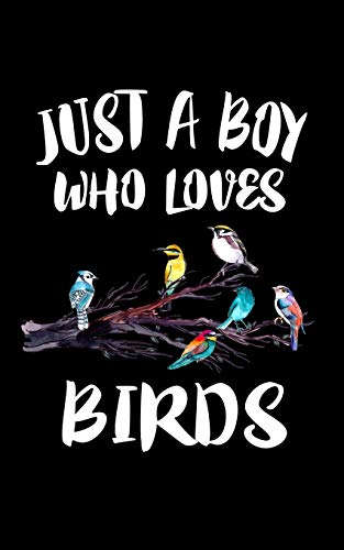 Just A Boy Who Loves Birds: Animal Nature Collection