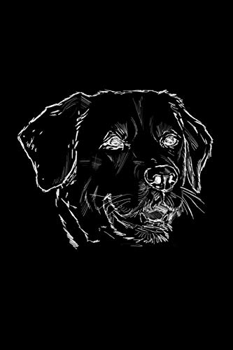 Hundetagebuch: Das Erinnerungsbuch F?r Die Zeit Von Dir Und Deinem Treuen Vierbeiner, Dem Besten Freund Des Menschen. Dein Geliebtes Haustier Und Du ... - Golden Retriever (German Edition)