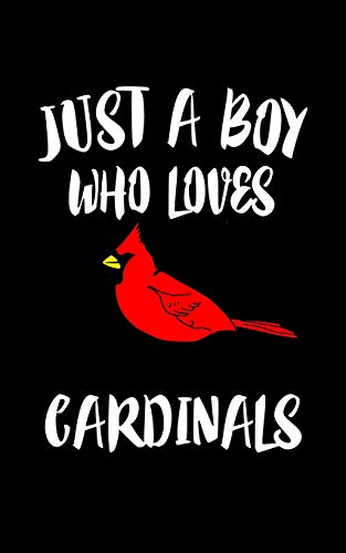 Just A Boy Who Loves Cardinals: Animal Nature Collection