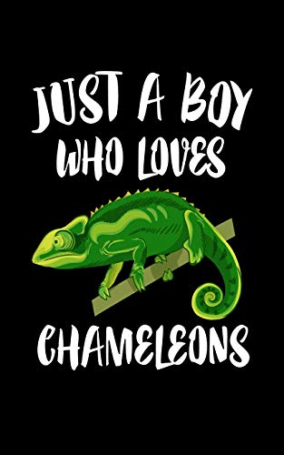 Just A Boy Who Loves Chameleons: Animal Nature Collection