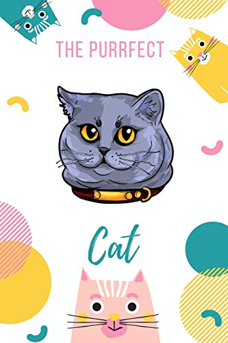 The Purrfect Cat: British Shorthair Cat