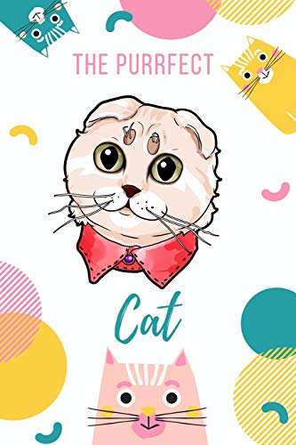 The Purrfect Cat: Scottish Fold Cat
