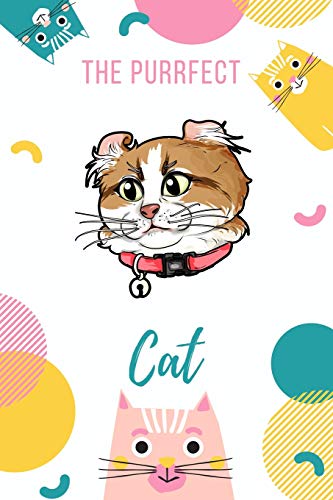 The Purrfect Cat: American Curl Cat