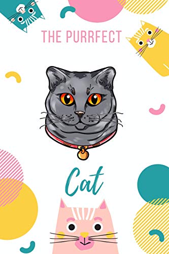 The Purrfect Cat: Chartreux