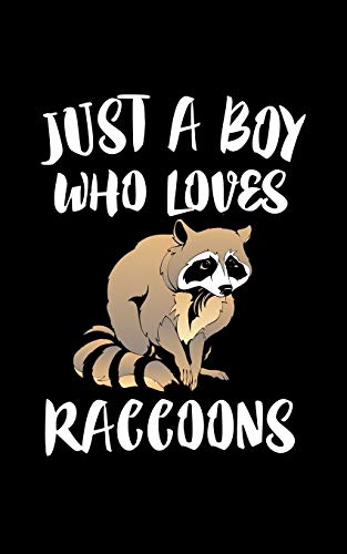 Just A Boy Who Loves Raccoon: Animal Nature Collection