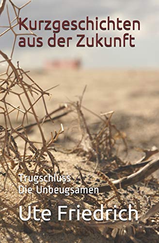 Kurzgeschichten Aus Der Zukunft: Trugschluss Die Unbeugsamen (German Edition)