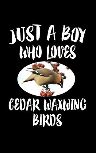 Just A Boy Who Loves Cedar Waxwing: Animal Nature Collection