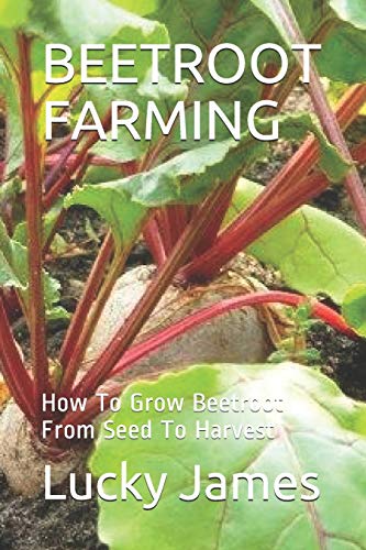 Beetroot Farming: How To Grow Beetroot From Seed To Harvest