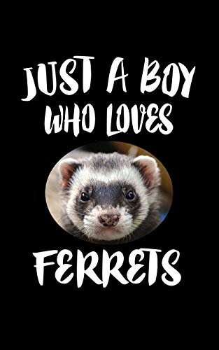 Just A Boy Who Loves Furrets: Animal Nature Collection - 9781079472059