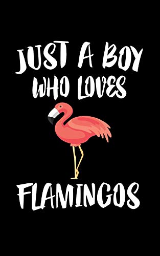 Just A Boy Who Loves Flamingos: Animal Nature Collection