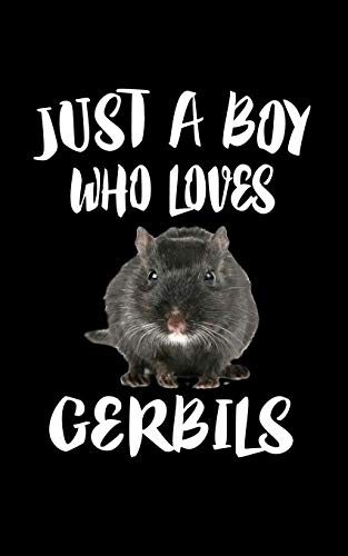 Just A Boy Who Loves Gerbils: Animal Nature Collection