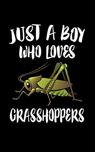 Just A Boy Who Loves Grasshoppers: Animal Nature Collection