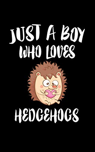 Just A Boy Who Loves Hedgehogs: Animal Nature Collection