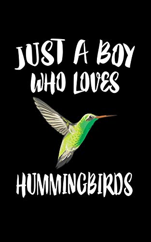 Just A Boy Who Loves Humingbirds: Animal Nature Collection