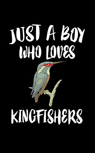 Just A Boy Who Loves Kingfishers: Animal Nature Collection