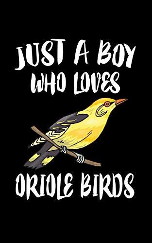Just A Boy Who Loves Oriole Birds: Animal Nature Collection