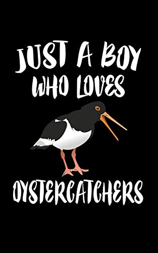 Just A Boy Who Loves Oystercatchers: Animal Nature Collection