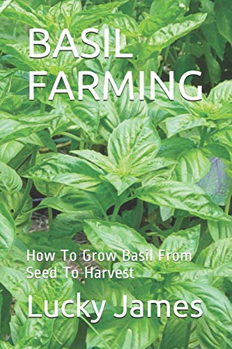 Basil Farming: How To Grow Basil From Seed To Harvest
