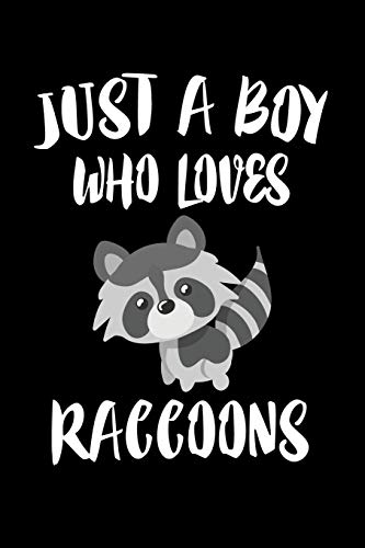Just A Boy Who Loves Raccoons: Animal Nature Collection