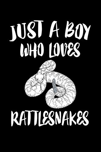 Just A Boy Who Loves Rattlesnake: Animal Nature Collection