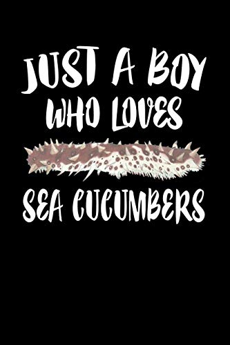 Just A Boy Who Loves Sea Cucumbers: Animal Nature Collection